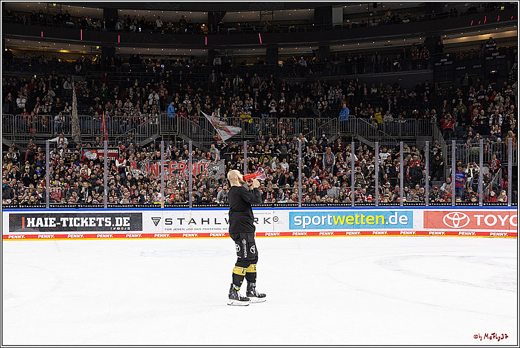 PENNY DEL;  Koelner Haie - Bietigheim Steelers; Koeln, 05.03.2023